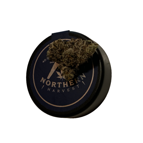 Northern Harvest Cherry Runtz, Weed Herald, Weedherald.com